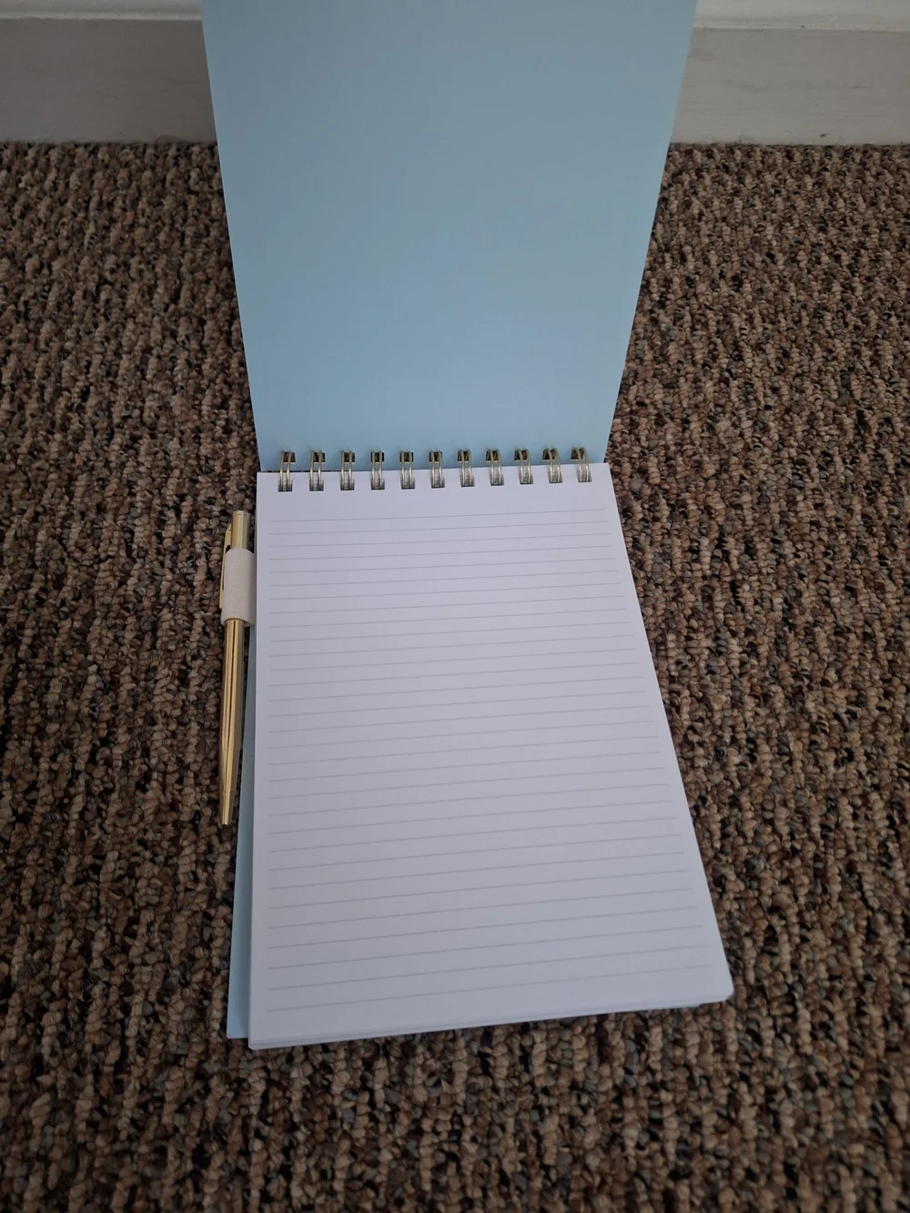 Teacher Notes Notebook with Red Apple Pattern